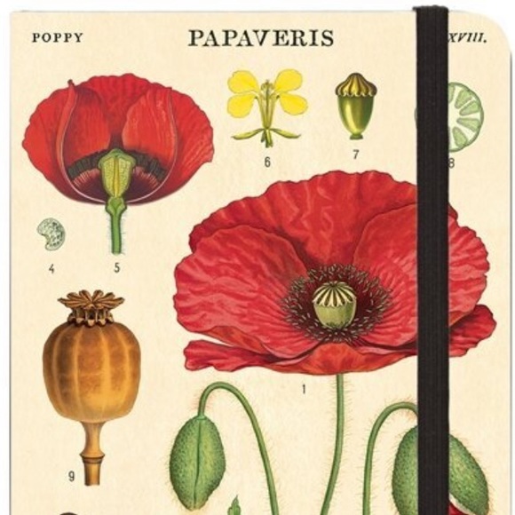 Cavallini & Co. Botany Study Of The Poppy Lined Notebook, 4” x 6” Inches - NWT - Picture 4 of 10